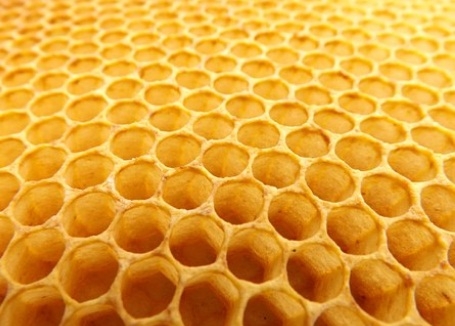  Indian scientists develop noise control absorber mimicking beehives