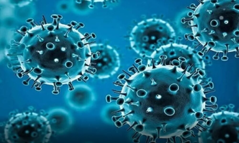  Antibody-based therapies may help fight influenza B: Study