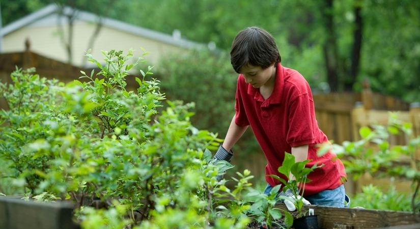  Gardening, cycling may help ‘fight off’ genetic risk of Type 2 diabetes