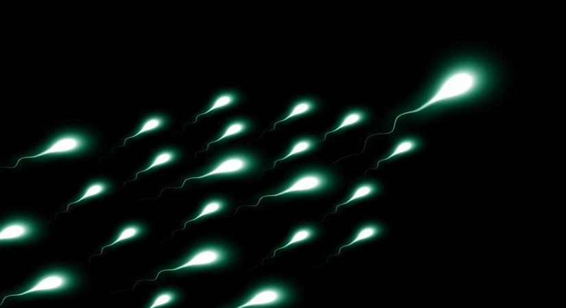  Study reveals why some men don’t produce enough sperm