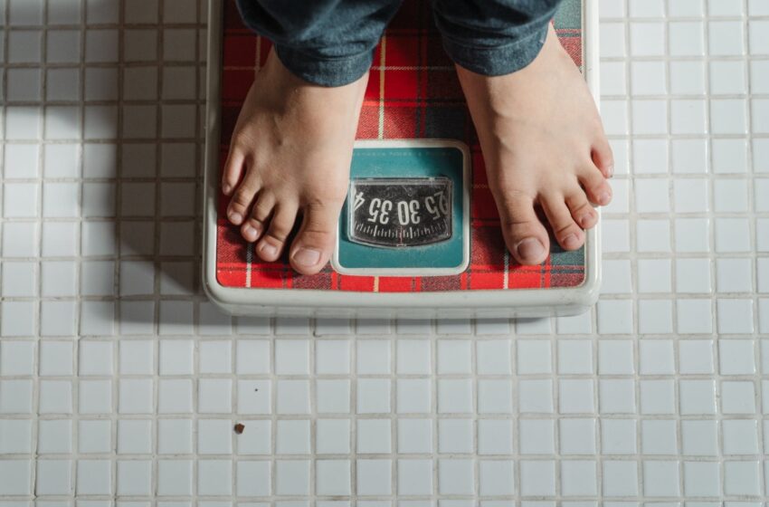  High BMI a poor indicator of death risk among overweight people: Study