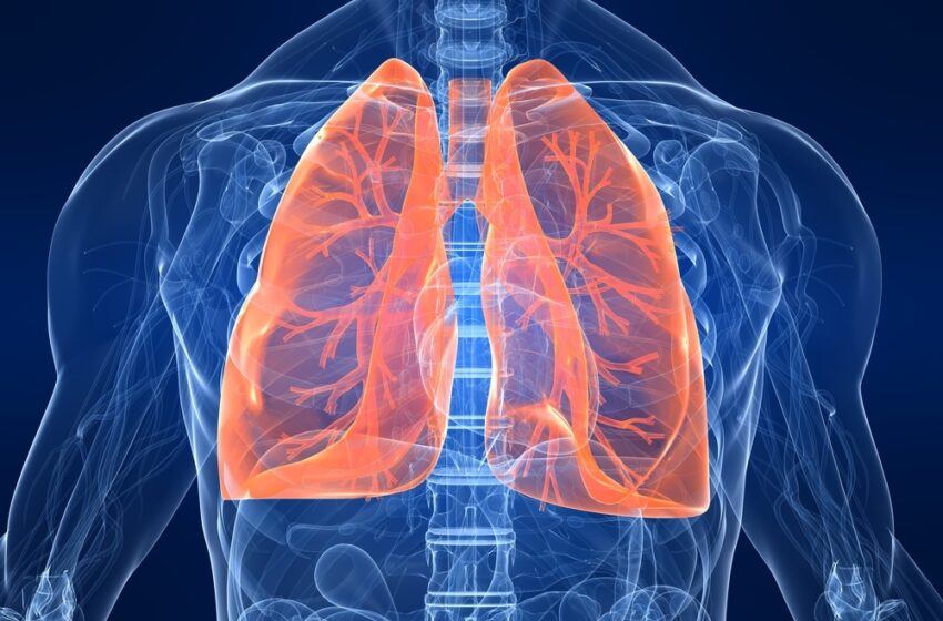  Family history may raise risk of some lung cancers: Study