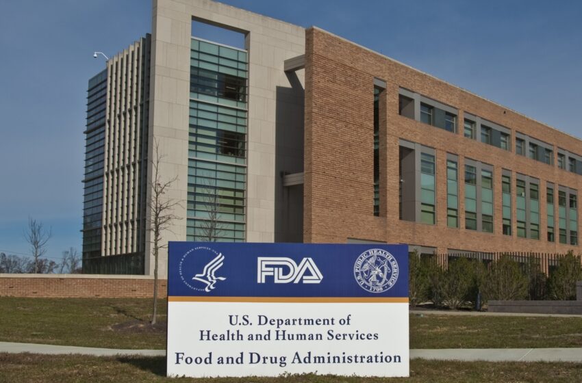  US FDA approves 1st Alzheimer’s drug that can slow disease