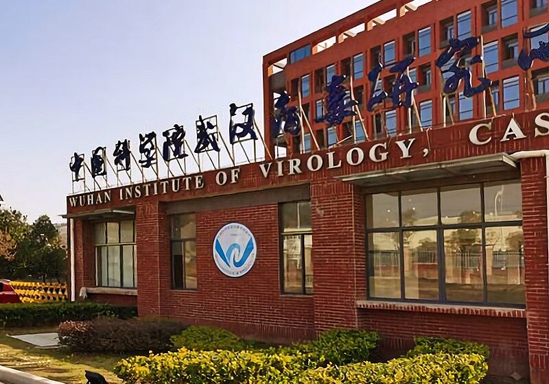  US suspends funding for China’s Wuhan lab over failure to provide Covid info