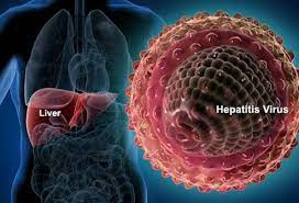  Study shows Hepatitis C continues to raise risk of death even after cure