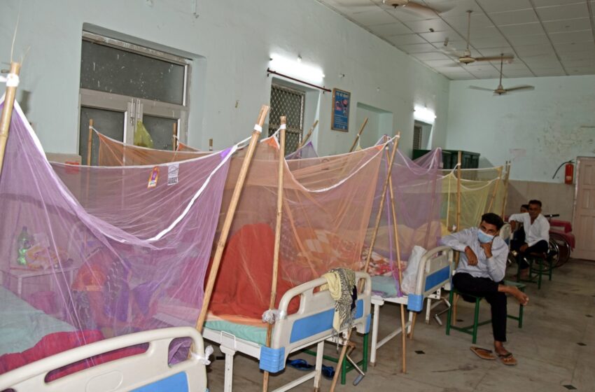  Two dengue hotspots in Lucknow