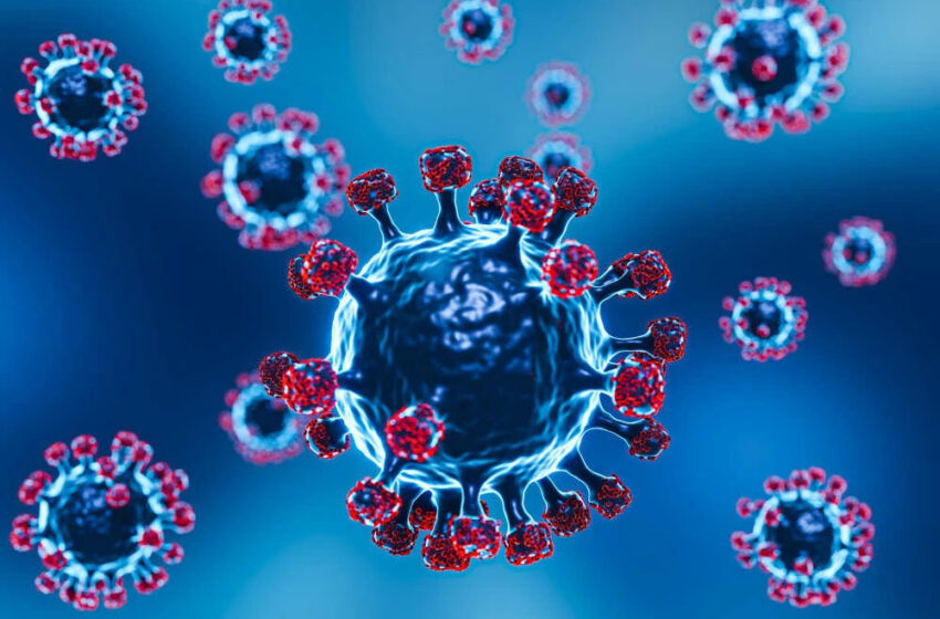  JN.1 represents ‘very serious evolution’ of Covid virus, say global experts