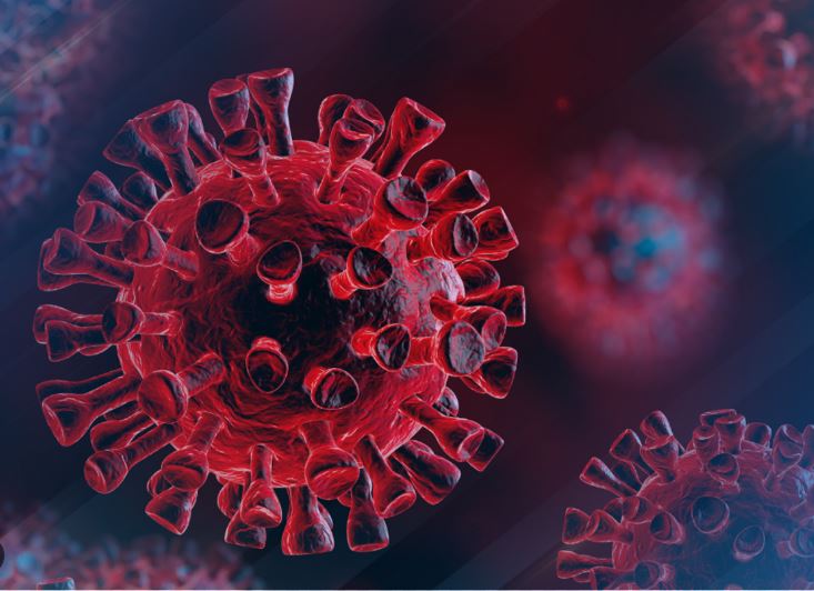  How common cold virus boosts immune system to fight Covid