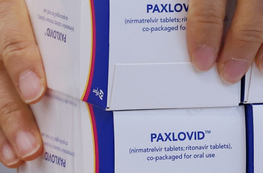  Pfizer’s Paxlovid antiviral drug does not reduce risk of long Covid: Study