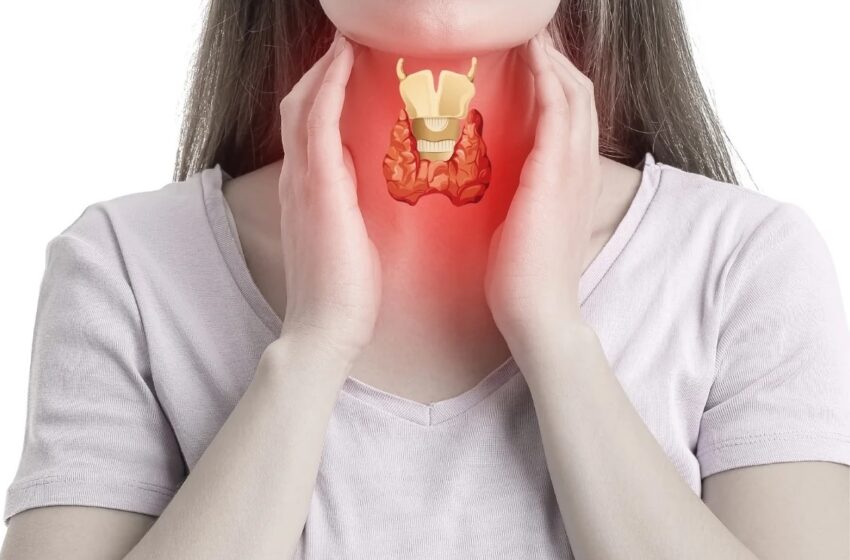  Thyroid imbalance may raise menstrual problems, affect fertility in women: Experts