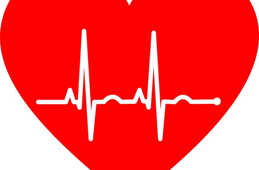  New AI tool can predict fatal heart rhythm with 80 pc accuracy